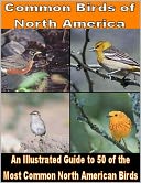 Common Birds of North America: An Illustrated Guide to 50 of the Most Common North American Birds