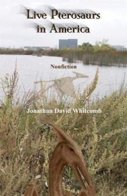 Live Pterosaurs in America: Not extinct, flying creatures of cryptozoology that some call pterodactyls or flying dinosaurs or prehistoric Birds