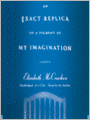 An Exact Replica of a Figment of My Imagination: A Memoir