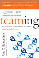 Teaming: How Organizations Learn