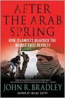 download After the Arab Spring : How Islamists Hijacked the Middle East Revolts book