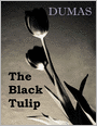 The Black Tulip