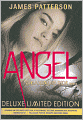 Angel (Maximum Ride Series #7)