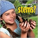 What Are Stems?