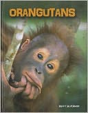 Orangutans