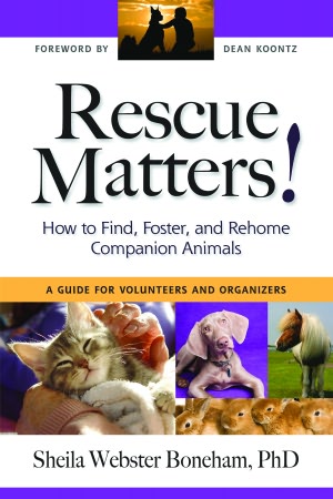 Rescue Matters - How to Find, Foster and Rehome Companion Animals