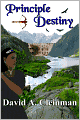Principle Destiny