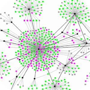 Social Networks