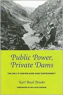 Public Power Private Dams
