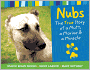 Nubs: The True Story of a Mutt, a Marine and a Miracle