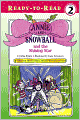 Annie and Snowball and the Shining Star (Annie and Snowball Series #6)