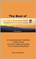 The Best of Carolina Mountain Dog