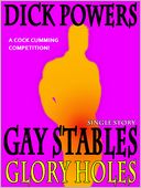 download Glory Holes (Gay Stables #1) book