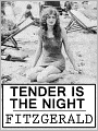 Tender is the Night: Francis Scott Fitzgerald (Original Version of 1933)