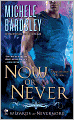 Now or Never (Wizards of Nevermore Series #2)
