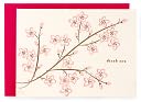 Pink Cherry Blossom Letterpress Thank You Note Card Set of 8 by La Bonne Vie: Product Image