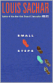 Small Steps