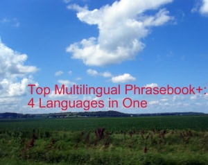 The Top Haitian Creole Multilingual Phrasebook+ : Read Free and Learn 4 Romance Languages in one Book : Haitian Creole, French, Spanish, and English