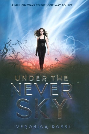 Under the Never Sky