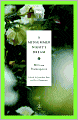 A Midsummer Night's Dream