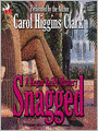 Snagged (Regan Reilly Series #2)