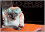 Glamourpuss: The Enchanting World of Kitty Wigs
