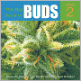 Big Book of Buds: More Marijuana Varieties from the World's Great Seed Breeders
