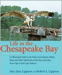 Life in the Chesapeake Bay