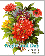 Night and Day