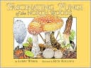 Fascinating Fungi of the North Woods