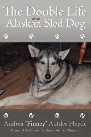 The Double Life Of An Alaskan Sled Dog