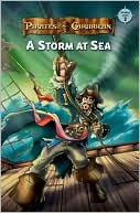 A Storm at Sea
