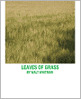 Leaves of Grass