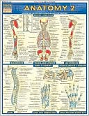 Anatomy 2