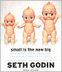 Small Is the New Big: And Other Riffs, Rants, and Remarkable Business Ideas