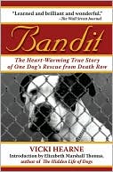Bandit: The Heart-Warming Story of One Dog's Rescue from Death Row