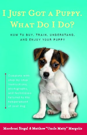 I Just Got a Puppy. What Do I Do?