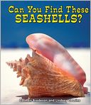 Can You Find These Seashells?