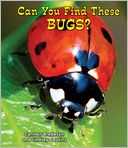 Can You Find These Bugs?