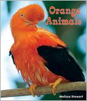 Orange Animals