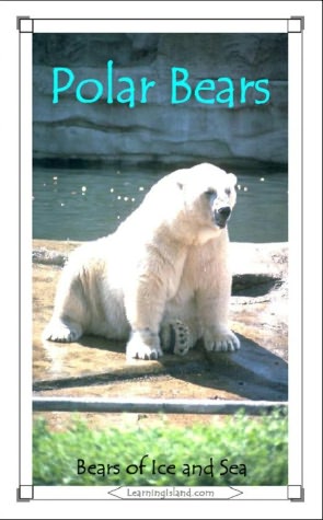 Polar Bears: Bears of Ice and Sea