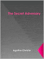 The Secret Adversary