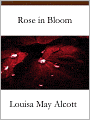 Rose in Bloom