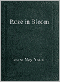 Rose in Bloom