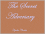The Secret Adversary
