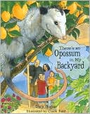There's an Opossum in My Backyard