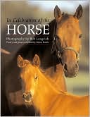 In Celebration of the Horse