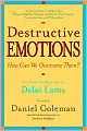 Destructive Emotions - How Can We Overcome Them?: A Scientific Dialogue with the Dalai Lama