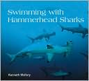 Swimming with Hammerhead Sharks