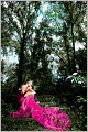 Mansfield Park (Illustrated)